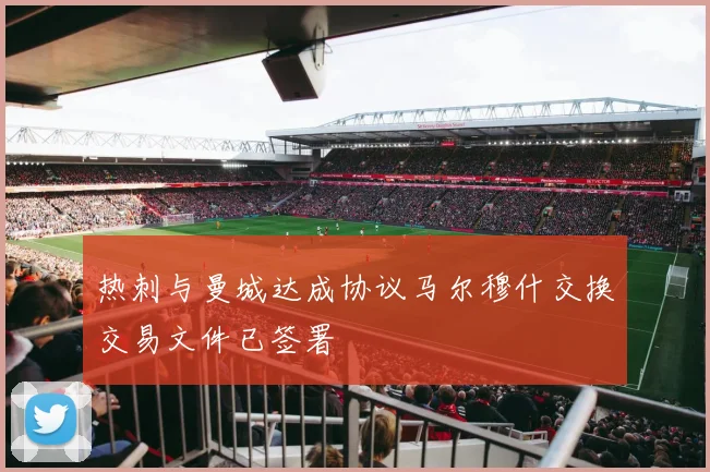 热刺与曼城达成协议马尔穆什交换交易文件已签署