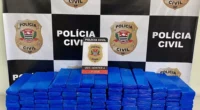 Dupla é presa com cerca de 100 kg de maconha durante operação da Polícia Civil — Foto: Polícia Civil /Divulgação