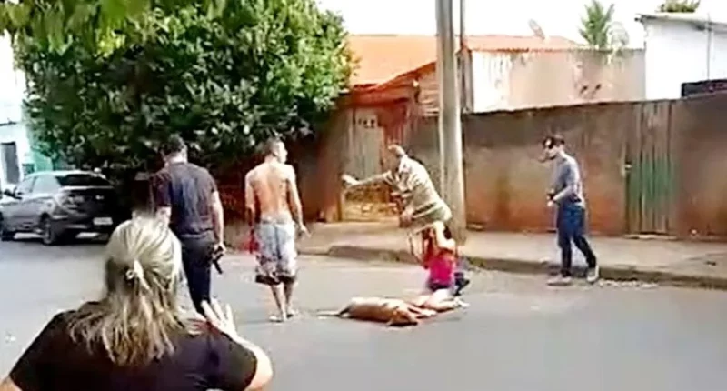Confusão entre policiais e moradores termina com 3 presos e cachorro morto a tiros em Paraguaçu Paulista — Foto: Reprodução/Arquivo pessoal