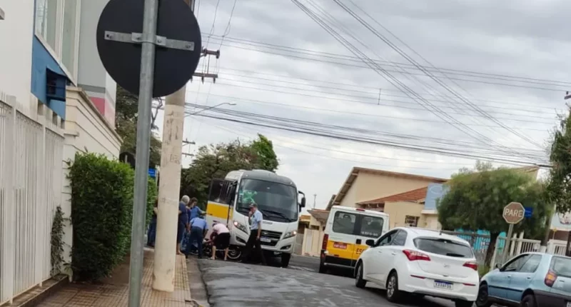 Ônibus pertence à Secretaria de Educação de Assis (SP) — Foto: The Brothers/Divulgação