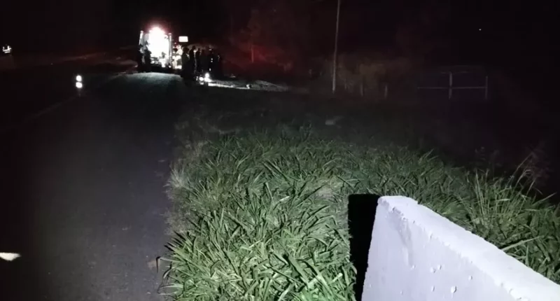 Acidente foi registrado na SP-270, em Regente Feijó, neste domingo (3) — Foto: Polícia Rodoviária