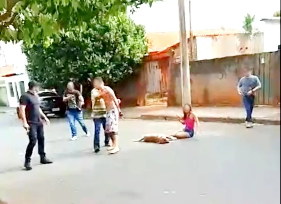 Confusão entre policiais e moradores termina com 3 presos e cachorro morto a tiros em Paraguaçu Paulista — Foto: Arquivo pessoal
