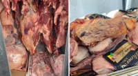 Vigilância Sanitária apreende pacotes de carne armazenados de forma irregular em Marília — Foto: Prefeitura de Marília /Divulgação