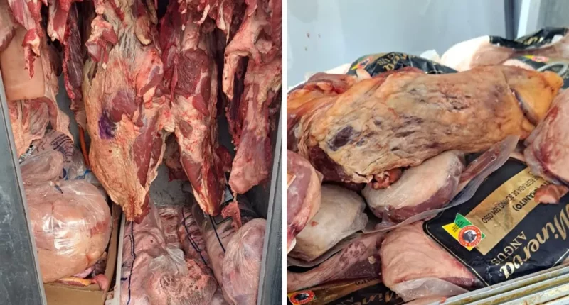 Vigilância Sanitária apreende pacotes de carne armazenados de forma irregular em Marília — Foto: Prefeitura de Marília /Divulgação
