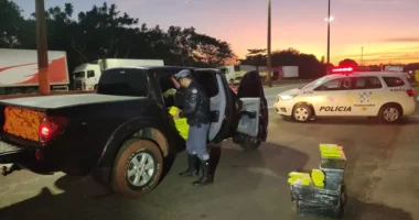 Polícia Rodoviária apreendeu 985,37 quilos de maconha em Florínea (SP) — Foto: Redes Sociais/Reprodução