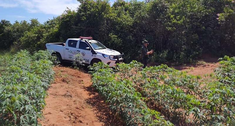Fazendeiro é multado por desmatamento de 8 hectares de mata nativa em Paraguaçu Paulista (Foto: Divulgação/Polícia Ambiental)