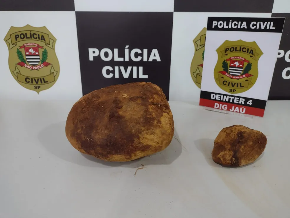 Policiais da DIG apreenderam as pedras que teriam sido usadas para matar o dono da van — Foto: Polícia Civil/Divulgação