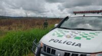 Fazenda é multada em mais de R$ 21 mil por crime ambiental (Foto: Divulgação / Polícia Militar Ambiental)