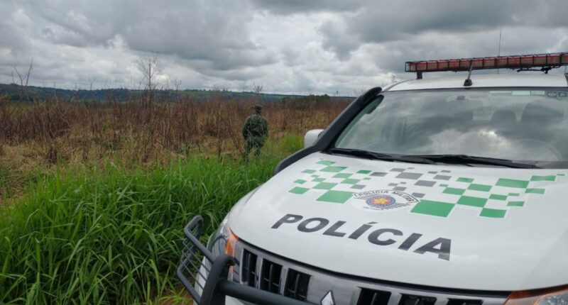 Fazenda é multada em mais de R$ 21 mil por crime ambiental (Foto: Divulgação / Polícia Militar Ambiental)
