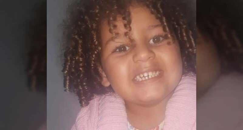 Alicia Indeu, de cinco anos, morreu após dez dias internada na UTI de Ourinhos — Foto: Laperuta Jr./Arquivo Pessoal