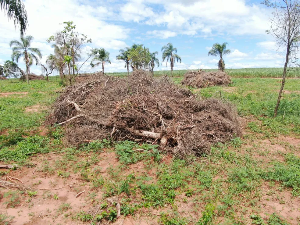 Fazenda é autuada por degradação de vegetação nativa em Rancharia (SP) — Foto: Polícia Ambiental