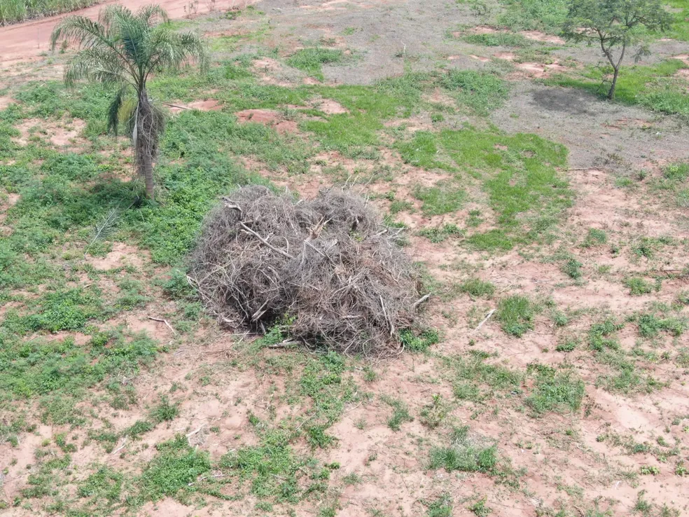 Fazenda é autuada por degradação de vegetação nativa em Rancharia (SP) — Foto: Polícia Ambiental