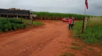 FNL ocupou fazenda em Teodoro Sampaio (SP) nesta segunda-feira (20) — Foto: FNL