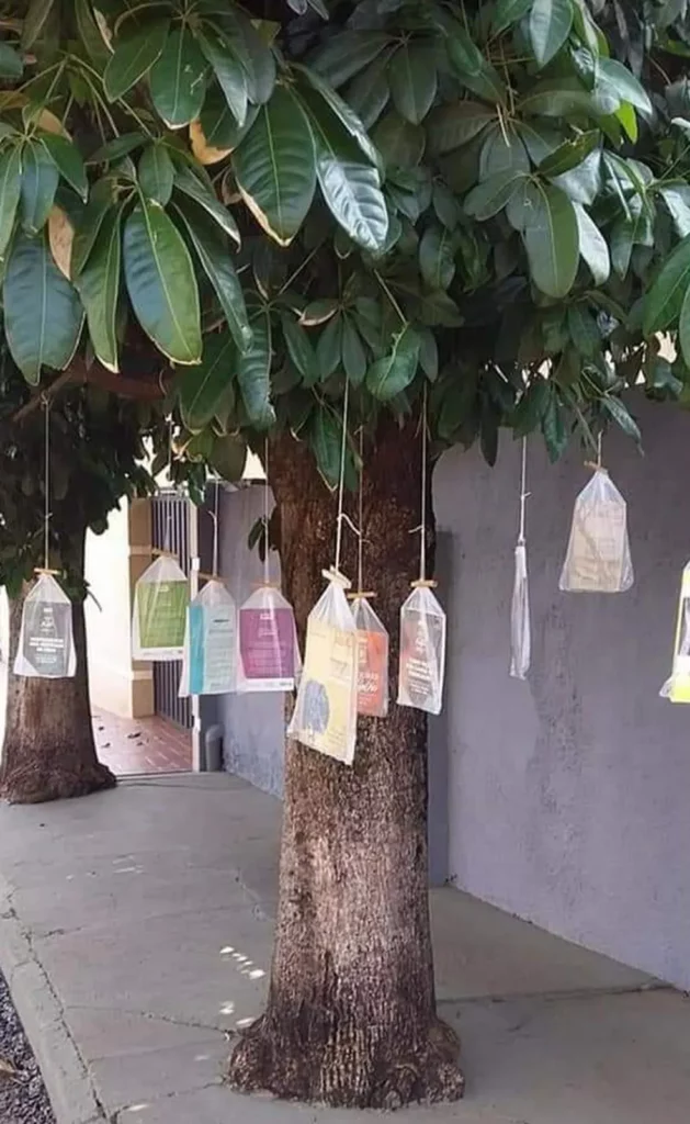 Árvore com livros fica na rua João Hernandes, em Ourinhos (SP) — Foto: Arquivo Pessoal