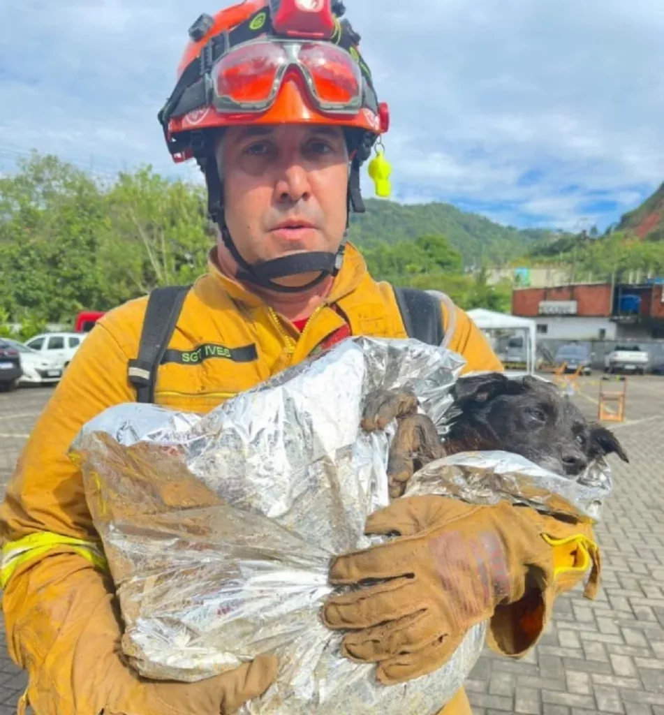 Sargento Ives, de Marília (SP), resgata cão em São Sebastião (SP) — Foto: Arquivo pessoal