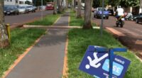 Vândalos destroem placas da pista de caminhada Nilson Paes, na entrada de Palmital (Foto: Reprodução/Jornal da Comarca)