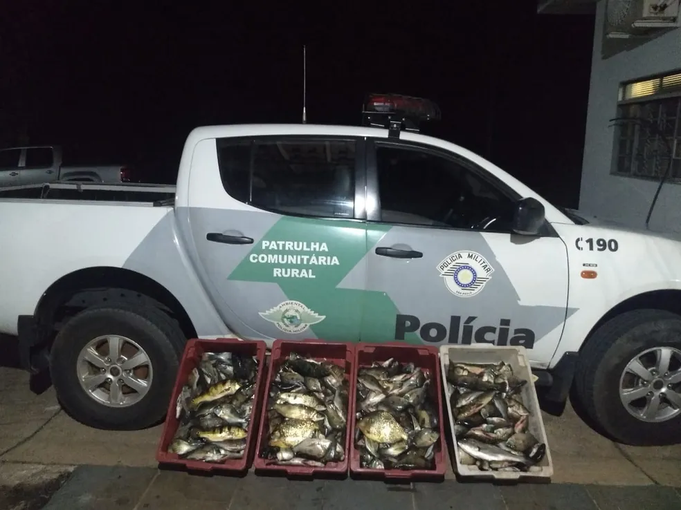 Período de Piracema termina com mais de R$ 53 mil em multas aplicadas no Oeste Paulista — Foto: Polícia Militar Ambiental