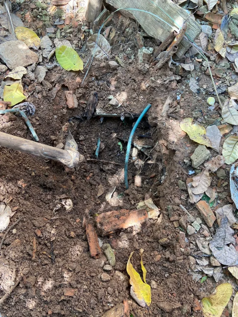 Cadela foi enterrada em quintal e removida posteriormente, segundo ONG Spaddes — Foto: ONG Spaddes/Divulgação