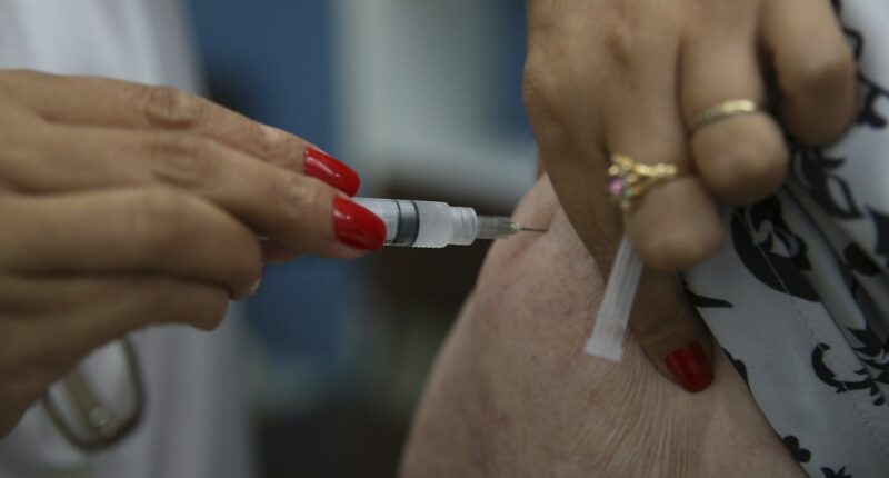 Agosto será o último mês para se vacinar contra a gripe este ano (Foto: Marcello Casal Jr/Agência Brasil)