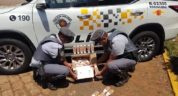 Polícia Militar Rodoviária apreende mais de 7 quilos de cocaína em ônibus (Foto: Polícia Rodoviária/Divulgação)
