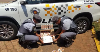 Polícia Militar Rodoviária apreende mais de 7 quilos de cocaína em ônibus (Foto: Polícia Rodoviária/Divulgação)